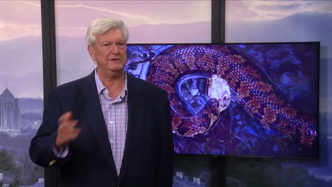 New Video helps you identify water snakes