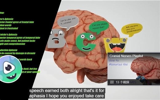 失语 Broca失语，Wernicke失语，传导性失语