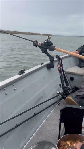 Striper fishing Sherman Island