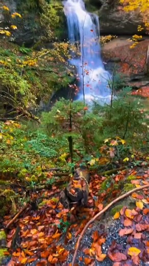 Great nature hike with fresh breath 194