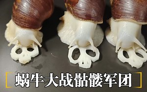 蜗牛大军迎战骷髅军团，拯救人类文明