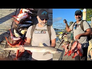 Myrtle Beach Deep Sea Fishing 2022 - Full Day Fishing Trip Myrtle Beach SC May 2022