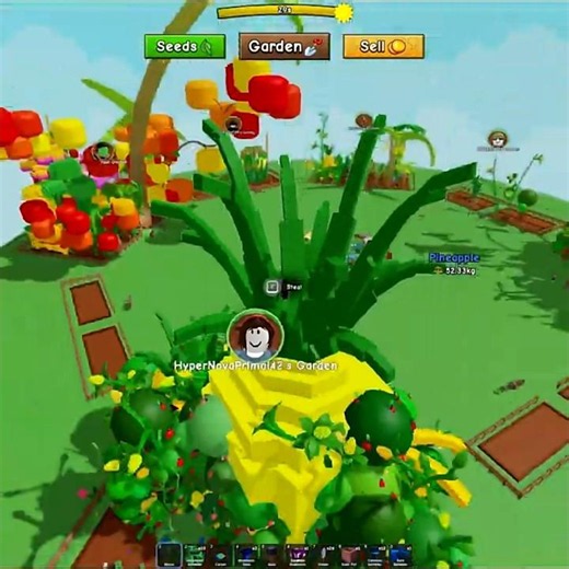 HUGE PINEAPPLE 🍍 Grow a Garden 2 Roblox