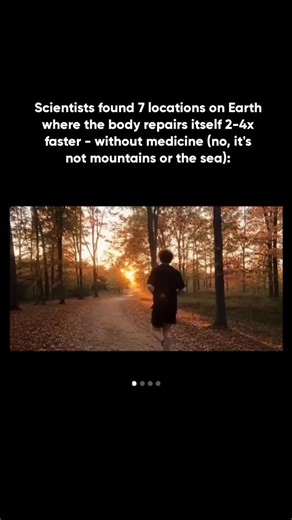 Mitty B. on Instagram: "1. A neuroecologist told me, “The body repairs fastest where stimulus density collapses.” Old monasteries use thick stone to cut auditory load by 80%. MRI scans show this triggers “maintenance mode.” Glymphatic clearance spikes to flush toxins, and inflammation drops simply because the brain stops processing noise. 2. Bee-house apiaries. The micro-vibration from thousands of wings creates a 110–140 Hz resonance. This matches the frequency physiotherapists use to relax smo