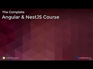 Setup - NestJS Admin App - The Complete Angular & NestJS Course