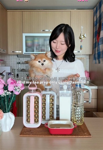 일주일 카페 안가고 자스민티 한놈만 패기🫖 Jasmine tea prep #mealprep #homecafe #tiktokfood #틱톡푸드