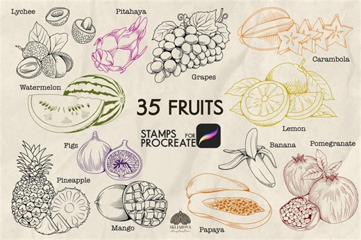 Fruit Procreate Stamps: 35 Line Art Fresh Fruits Brushes (procreate iPad Only) - Etsy