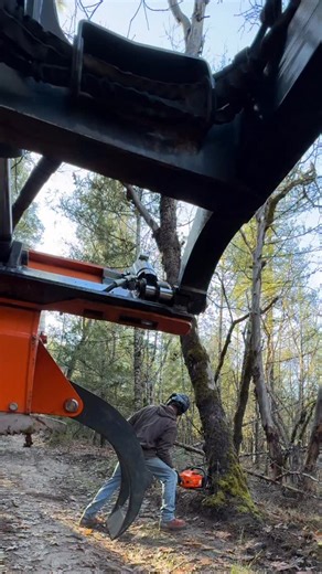 August Hunicke on Instagram: "Echo 590 #westcoastdogs"