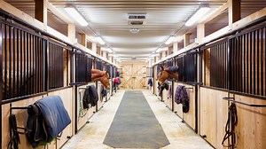 Horse Stall Mats: When They're Needed Plus Costs And Types