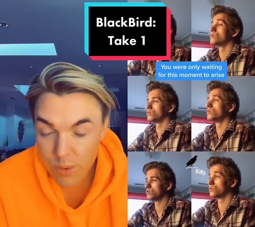 Jesse McCartney Acapella Cover of Blackbird | Harmony Duet