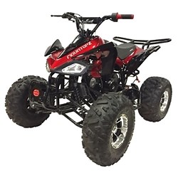 Coolster 125cc Mid Size Fully Automatic ATV Four Wheeler - ATV-3125CX3