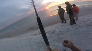 A little video I put together! Had to edit out back grounds in order to protect that beach so lost a lot of action but here is a taste! | Dark Side Sharkers