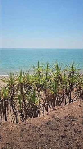 🌅 Nightcliff Beach | Scenic Coastal Beauty in Darwin Northern Territory 🇦🇺 #shorts