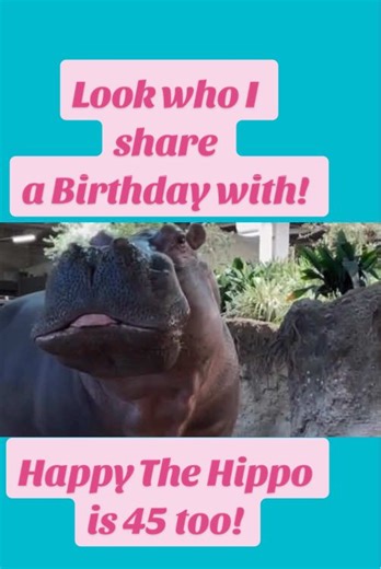 Trying to lose weight but too out ot shape for gym yet? Go to zoo to get steps in! I’ve lost 120 lbs! #weightlosstips #weightlossjourney #weightlossmotivation #100lbsdown #womensweightlosstips
