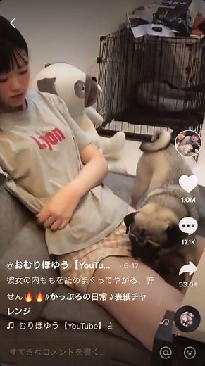彼女のアソコを舐める犬 ペロペロバター犬？ tiktok
