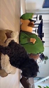 therapy girl #subwaysurfers #dog #therapy | Subway Surfers