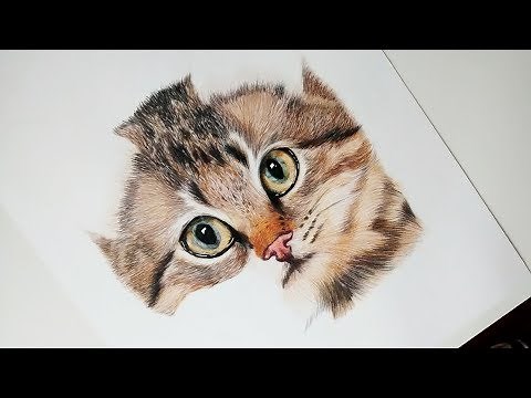 Como dibujar y pintar un GATO REALISTA - How to draw and paint a REALISTIC CAT