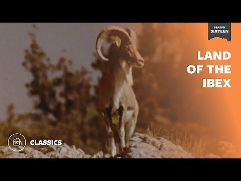 Land of the Ibex | Mutual of Omaha's Wild Kingdom