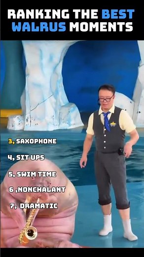 Ranking Top Funniest Walrus Moments ....