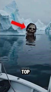 TOP 5 MOST DANGEROUS ANIMAL IN ANTARCTICA 😱 #antarctica #most #top5
