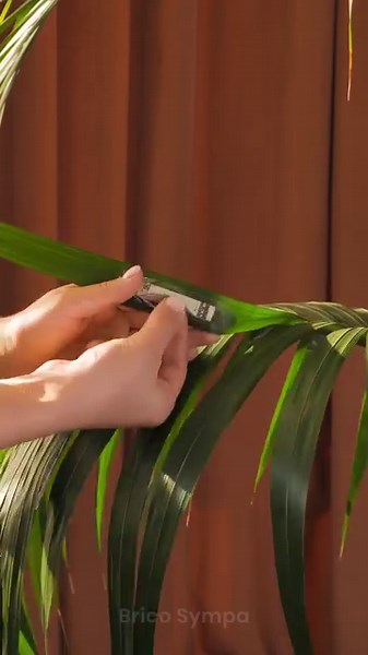 849K views · 3.8K reactions | Vous n'avez jamais pensé à ces cachettes dans la maison ! | Brico Enfants | Facebook