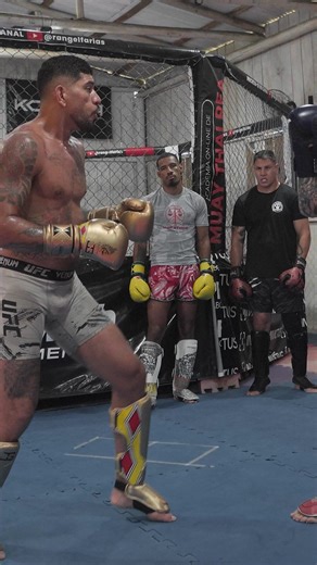 Intensidade e Respeito no Treino de Jiu-Jitsu