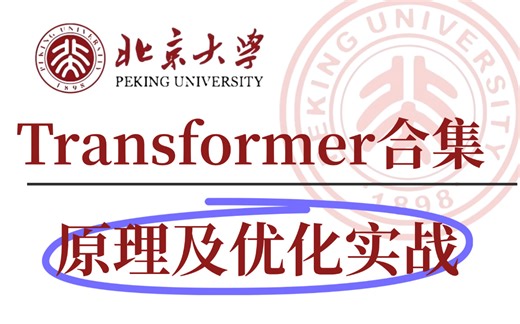 【精选课程】Transformer模型教程合集：Transformer原理及策略优化 Transformer实战课程！深度学习入门 AI大模型入门 人工智能课程