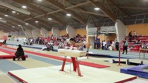 33K views · 689 reactions | Campionato Individuale Gold e di Specialità di Ginnastica Artistica Maschile – Finale Nazionale – Padova, 10 ottobre 2020 Lorenzo Casali - Cavallo con maniglie (video di Luigi Fardella) | Ginnastica Artistica Italiana. | Facebook