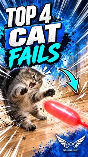 Top 4 Cat Fails 😂🐱