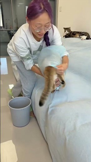 🐱😹 Cat’s Hilarious Trash Bin Prank! 🗑️😂