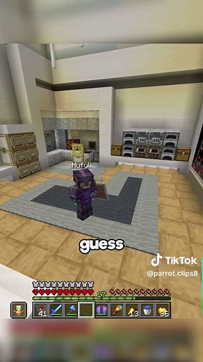 I Got Hunted by the World's Best Minecraft Player Part 5 #fyp #Minecraft #parrotx2