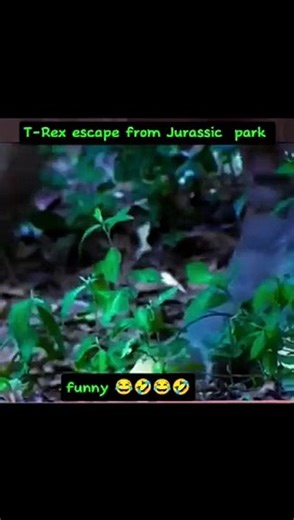 Funny Comedy 2024 Trending Funny Short Video 2024 #funny #comedy #shorts