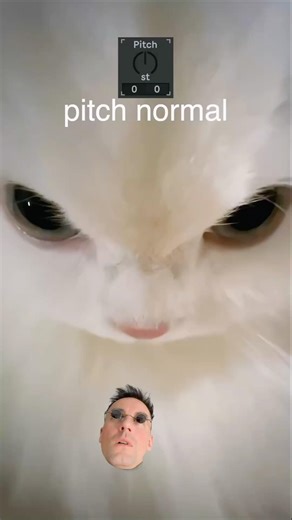 Pitch down cat style beat (bass boosted)