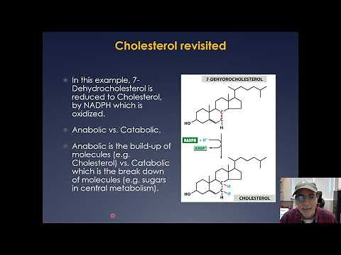 Molecular Cell Biology Lecture 2, Part B; Chemistry of a cell