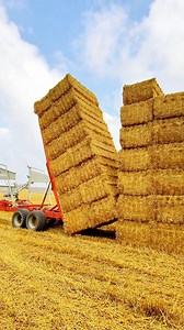 Here is Olly in the JCB Fastrac with Arcusin bale chaser with R Arnold Agricultural Contracting | Pro Horizon Farming Content