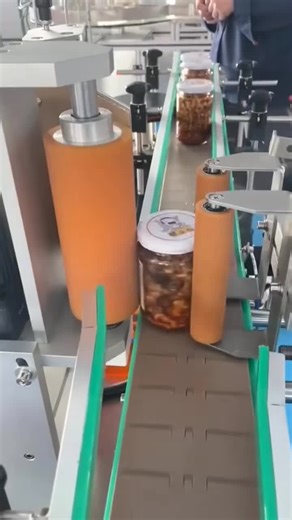 Exploring Brazilian Work Culture Through Factory Tours