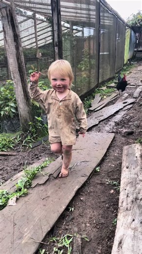 It’s been rainy #offgrid #homesteading #coffee | coffee