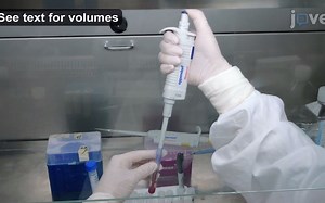 JoVE科研视频：用全血流式细胞术分析人单核细胞亚群