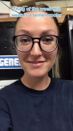 Pigs are special and their semen doesn’t freeze well, so we are stuck using semen within about 5 days of collection! #pigs #billions #special