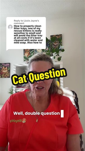 Cat Litter Box & Teeth Cleaning Tips