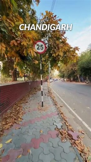 Chandigarh ❣️😍 #chandigarh #chandigarhdiaries #chandigarhvlog