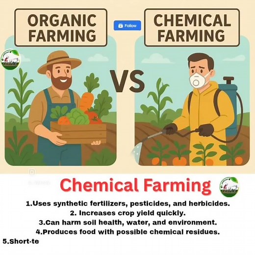 Organic farming vs Chemical farming