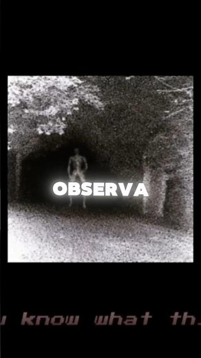 The MOST disturbing Roblox game 😨📼 #roblox #horror #analoghorror