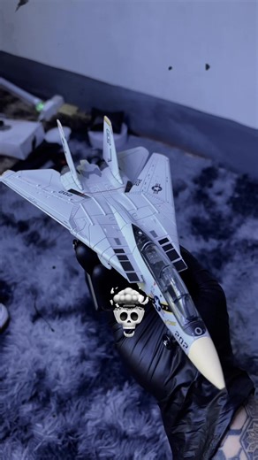 Build Your F14 USA Jet Fighter Model Kit