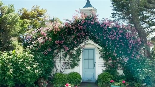 The new garden: contemporary outdoor living