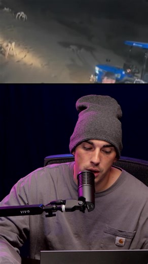 21K views · 562 reactions | Is this PROOF of ALIENS or SKINWALKER and UFO in INDIA? #fblifestyle #aliens #ufo #uap #india #skinwalker #toilettimetv | Toilet Time TV | Facebook