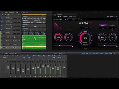 KARA Pluck and Delay Plugin [VST, Logic Pro, Ableton, FL Studio, Cubase]