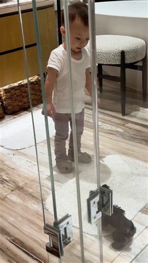 72K views · 933 reactions | 你說的話它未必全懂,它的叫聲你未必全解。但當你蹲下來對它笑,它一定會向你跑去 #hatti #葉海洋 | 葉海洋 - 迪仕艾普 Dc Export - 台灣總代理 | Facebook