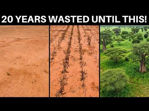 The Sahel Was Planting the Wrong Trees for Decades — Here's What Actually Works