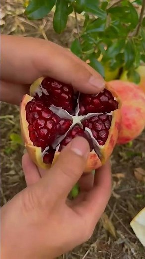 Proper way of cut a pomegranate